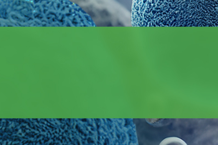 Advanced Practice Providers (APP) Corner