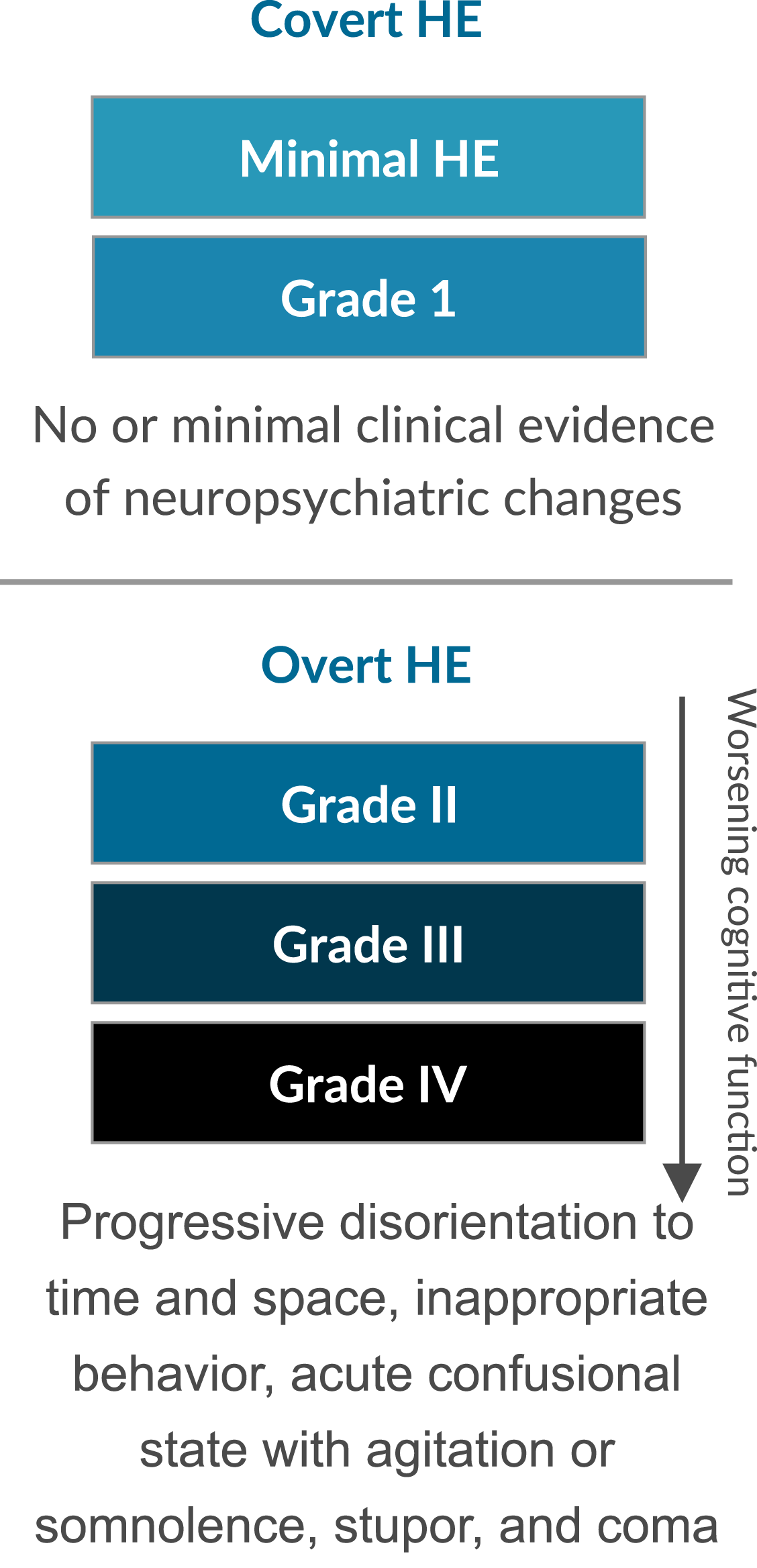 Table showing grades of HE severity